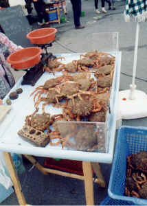 crabs.jpg (54001 bytes)