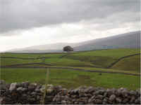 ingleton1web.jpg (128326 bytes)