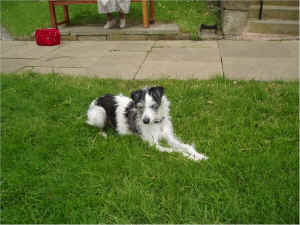 benji at downham.jpg (660096 bytes)