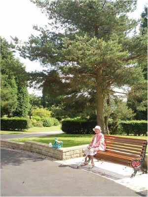 mum in the park2.jpg (506525 bytes)