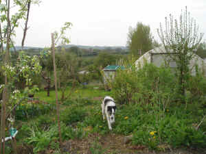 view from african hut.JPG (898031 bytes)