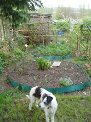 view from bench at top of small garden.JPG (782889 bytes)