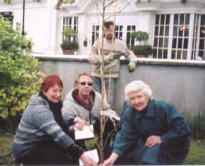 44a.planting.jpg (83367 bytes)