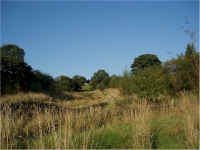 deerfield1.jpg (168477 bytes)