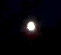 moon5.JPG (36949 bytes)