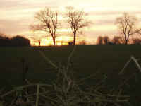 sheepsunset1.JPG (923476 bytes)
