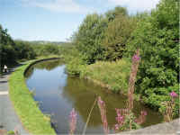 canal2.jpg (307890 bytes)