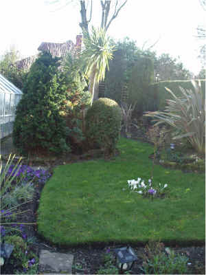 78.Dad's old garden.jpg (194416 bytes)