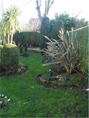 80.More garden.jpg (265320 bytes)