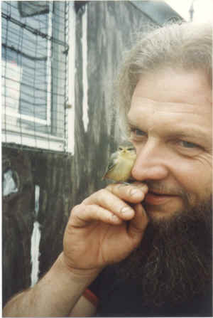 blue tit.jpg (79590 bytes)